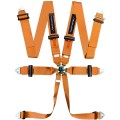 6-pl-harness-turn-one-speed-61399718.jpg