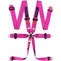 5-pl-harness-turn-one-speed-61399718.jpg