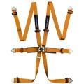 4-pl-turn-one-star-light-harness-613995119.jpg