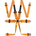 6-pl-turn-one-harness-613995118.webp