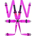 5-pl-turn-one-harness-613995118.webp