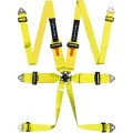 2-pl-turn-one-harness-613995118-2brally.jpg